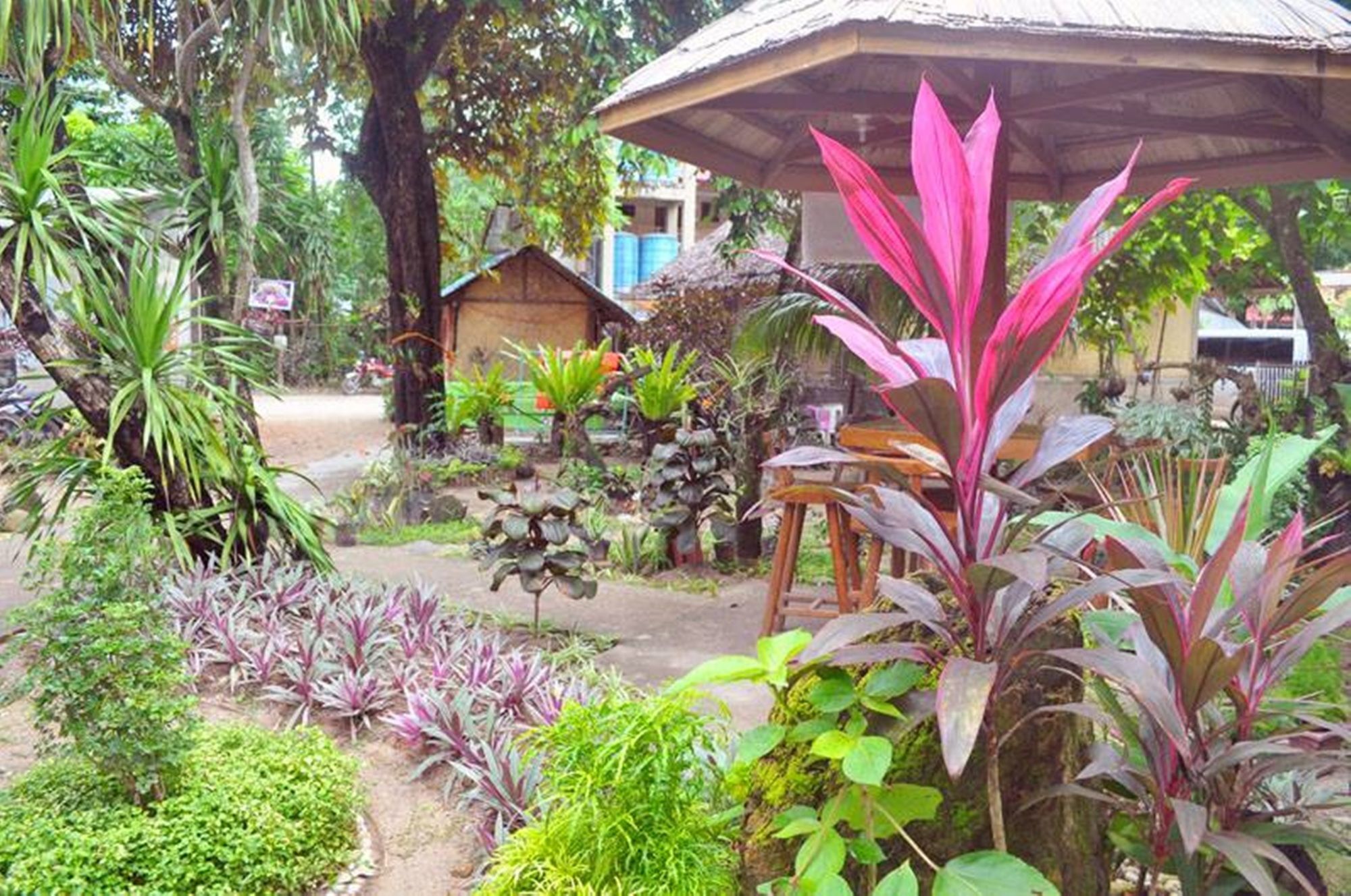 Peak House Garden Pension Ель-Нідо Екстер'єр фото